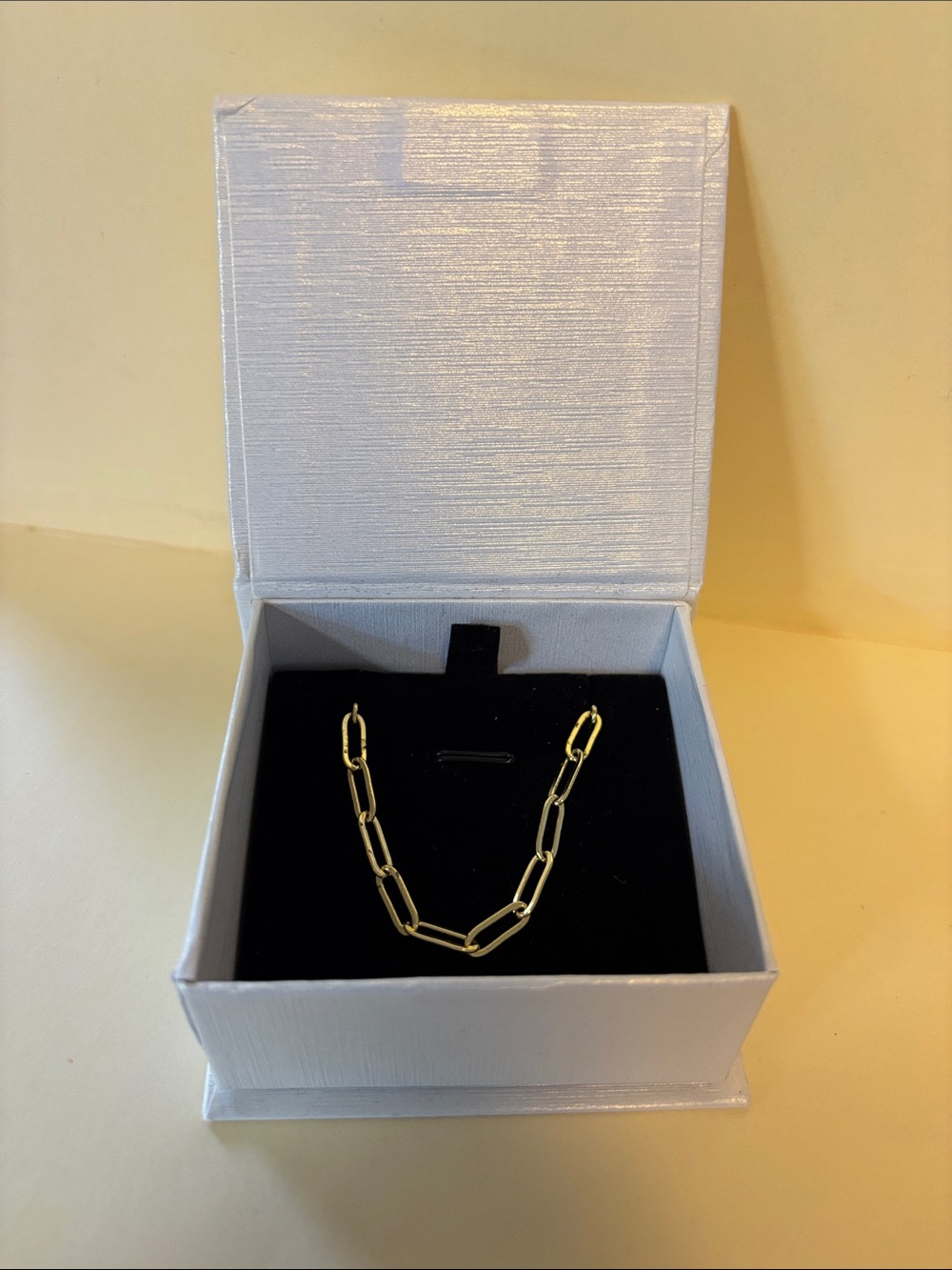 Paradiso Paperclip Chain Necklace from Mint & Lily (NIB)